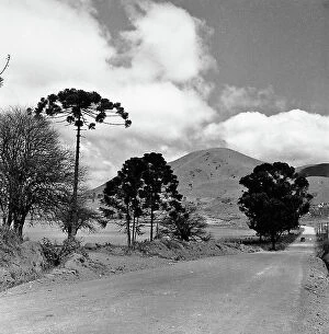 Images Dated 9th November 2011: Dirt road on the Isla Bella, Brazil