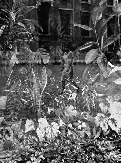 Images Dated 1st April 2011: Exotic plants on display in a shop window. A woman passing by on the street is reflected in
