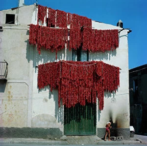 Images Dated 24th November 2010: The faade of a house in Puglia with drying tomatoes