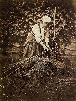Images Dated 4th April 2011: A farmwoman weaving wicker baskets; Europe