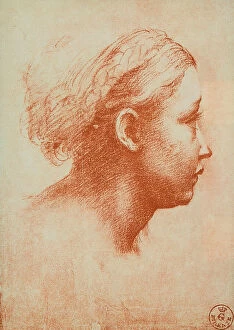 Images Dated 10th March 2011: Female head in profile, drawing, Francesco Mazzola known as Parmigianino (Parma)