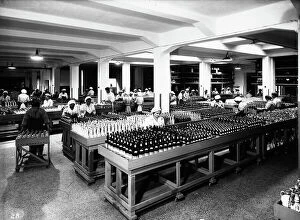 Images Dated 29th July 2009: Female workers at counters of the Luxardo company of Zara, producer of maraschino liqueur