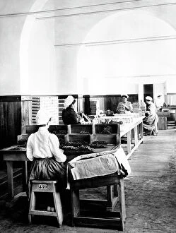 Images Dated 13th April 2011: Female workers in the Manifattura Tabacchi of San Pancrazio, Florence