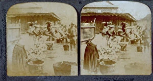 Images Dated 17th November 2011: Fish market in Lisbon. Women wearing flat hats sell fish from wooden boxes