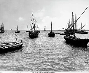 Images Dated 10th March 2010: Fishing boats docked in Marsala's harbor
