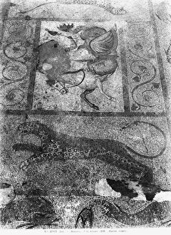Images Dated 15th November 2005: Floor mosaic with animal figures, in a Roman house. Archaeological area of Kos, island of Kos