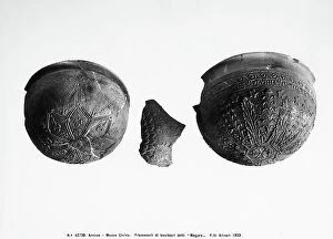 Images Dated 16th April 2012: Fragments of cups in ceramic from Arezzo decorated with reliefs; they are finds preserved in