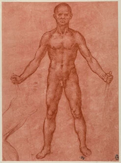 Images Dated 22nd October 2009: Frontal study of a male nude with open arms and legs, sanguine drawing on red paper by Leonardo da
