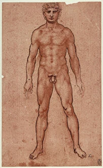 Images Dated 23rd April 2009: Frontal study of a male nude, pen and watercolor drawing on white paper by Leonardo da Vinci