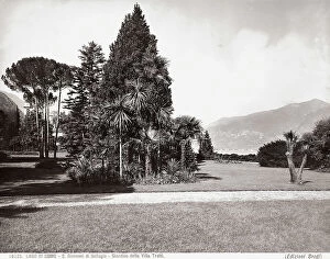 Images Dated 4th March 2008: The garden of the Villa Trotti, characterized by numerous exotic plants. Bellagio, Como