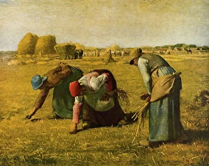 Images Dated 3rd March 2011: The Gleaners, oil on canvas, Jean Franois Millet (1814-1875), Muse d'Orsay, Paris