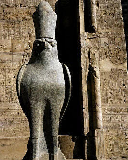 Images Dated 6th August 2009: The god Horus, Egypt