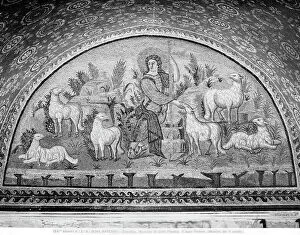 Images Dated 16th February 2011: The Good Sheperd, detail of the mosaic decoration of the Mausoleum of Galla Placidia, in Ravenna