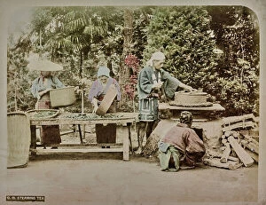 Japan: A group of japanese people while steeping tea leaves
