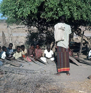 Images Dated 17th November 2009: Gurmumeshi: a school of the Koran outside under a tree, in the savannah