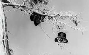 Femmes italiennes en costume folklorique sur un arbre.