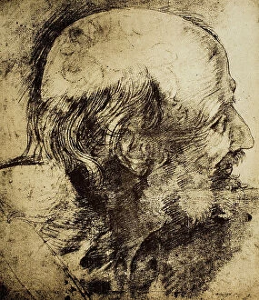 Images Dated 9th March 2011: Head of an old man; drawing from the School of Raphael. British Museum, London