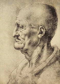 Images Dated 10th March 2011: Head of an old man in profile, drawing, Leonardo da Vinci (School of)