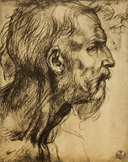 Images Dated 9th March 2011: Head of the prophet Zaccaria, drawing, Andrea del Sarto, preserved in the Cabinet of Drawings