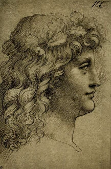 Images Dated 16th March 2011: Head of a young man; drawing by Leonardo da Vinci. The Louvre, Paris