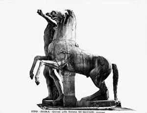 Images Dated 5th February 2010: Horse of the Dioscuri, detail of the sculptural group depicting Castor and Pollux with horses