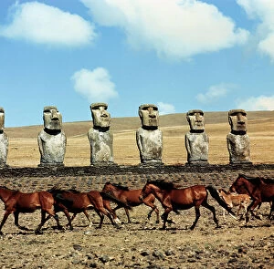 Images Dated 6th May 2009: Horses on Easter Island. In the background the Moai statues