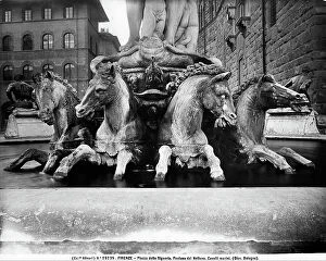 Images Dated 7th December 2012: Horses from the Fountain of Neptune, by Bartolomeo Ammannati and Giambologna