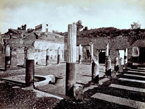 Images Dated 24th March 2010: The House of the citharist in Pompeii. In the foreground the ruins of one of the peristyles