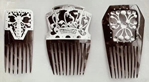 Images Dated 13th May 2011: The image shows a series of three combs, decorated with vegetal motifs