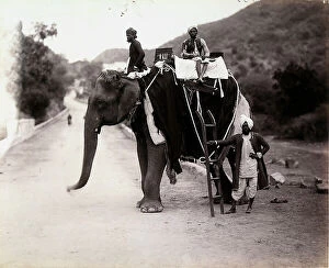 Images Dated 30th November 2011: Indians posing on an elephant, in Jaipur