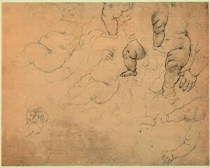 Images Dated 23rd April 2009: Infant anatomical studies; siverpoint drawing on pinkish paper by Leonardo da Vinci