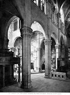 Images Dated 3rd June 2008: Interior of Cathedral of San Martino in Lucca