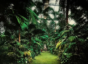 Images Dated 14th April 2009: Interior of the Palmengarten, the tropical garden founded in Frankurt on Main in 1869