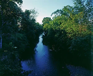 Images Dated 1st July 2011: Island of Java, River in a tunnel plant
