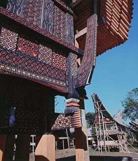Images Dated 6th July 2011: Island of Sulawesi (Celebes), Ethnic group toraja, boat-shaped houses stained