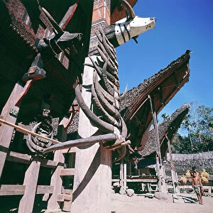 Images Dated 6th July 2011: Island of Sulawesi (Celebes), Ethnic group toraja, boat-shaped houses stained