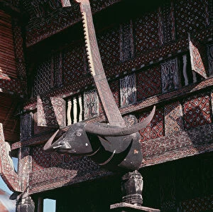 Images Dated 7th July 2011: Island of Sulawesi (Celebes), Ethnic group toraja, boat-shaped houses stained
