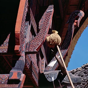 Images Dated 7th July 2011: Island of Sulawesi (Celebes), Ethnic group toraja, boat-shaped houses stained