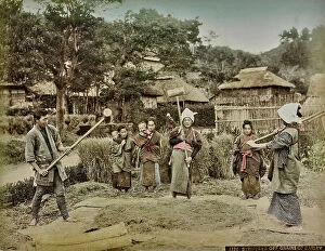 Japan: Japanese peasants during the barley threshing, Japan