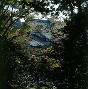 Images Dated 11th June 2009: Kyoto. Zen temple of Ryoanji. The roof of the main building in the woods surrounded by autumn colors