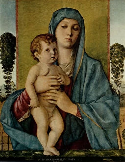 Images Dated 23rd February 2011: La Madonna degli Alberetti, oil on panel, Bellini, Giovanni (1425/30-1516)