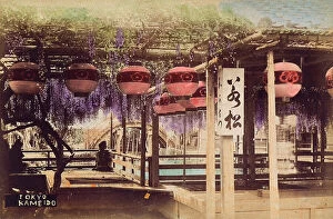 Images Dated 17th November 2011: Lamps hanging from a wisteria arbour in the Kameido quarter of Tokyo