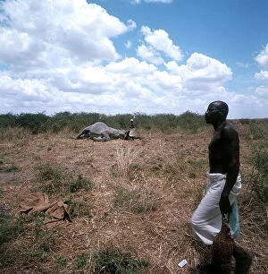 Images Dated 20th November 2009: Lower Juba. 'Argante' hunters next to an elephant they killed with bows and poisonous arrows