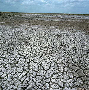 Images Dated 20th November 2009: Lower Juba. Drought has dried up every pool in the savannah; remaining on the burned