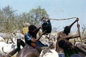 Images Dated 10th November 2009: Lower Juba. Somalian shepherds get each other wet at a well along the coast