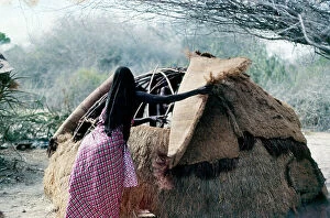 Images Dated 17th November 2009: Lower Juba. Women during the preparation of a thatched hut 'mundul'