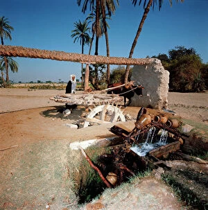 Images Dated 5th October 2011: Lungo il Nilo un'arcaica ruota dentata, mossa da un bue, pi a valle un'altra ruota con vasi di