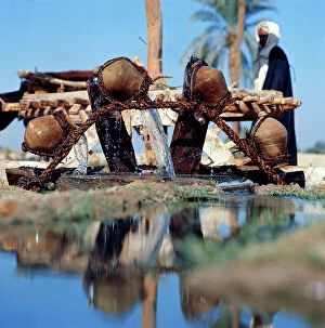 Images Dated 5th October 2011: Lungo il Nilo un'arcaica ruota dentata, mossa da un bue, pi a valle un'altra ruota con vasi di