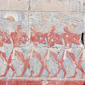 Images Dated 31st October 2011: Luxor Deir el-Bahri, in the temple of Queen Ashepsut hieroglyphics and frescoes