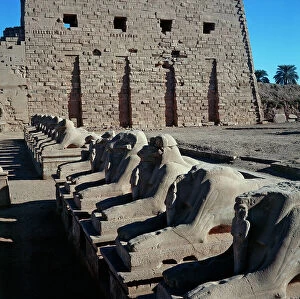 Images Dated 3rd November 2011: Luxor. The entrance of the immense area of ??the temple of Karnak
